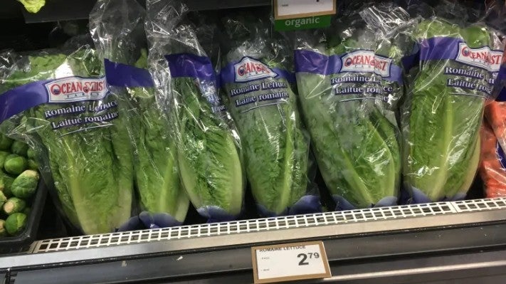 MOH Warning: Romaine Lettuce Imported From U.S. Contaminated With E. Coli Bacteria - WORLD OF BUZZ 2