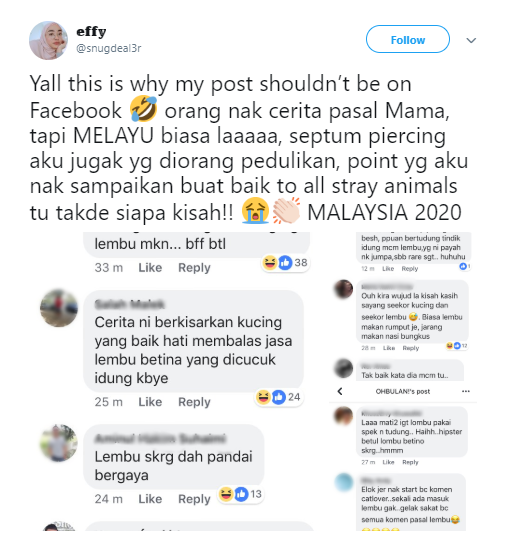 M’sians Focuses On Owner's Nose Ring Instead Of A Good Deed Done By Her Cat - WORLD OF BUZZ 1