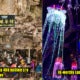 No Plans This Year-End? Here'S 8 Reasons To Check Out Sunway Lost World Of Tambun! - World Of Buzz