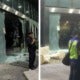 One City Mall Vandalised A Day After Group Attacked Seafield Temple, Fireman Critically Injured - World Of Buzz 1