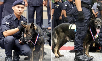 Pdrm Sets Up First Ever K-9 Memorial To Honour The Sacrifices Of Police Dogs - World Of Buzz