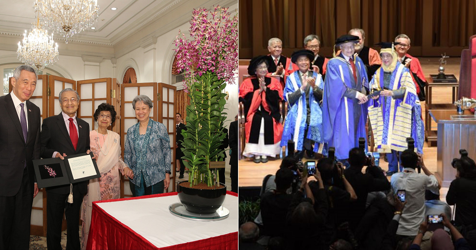 Singapore Named A Species Of Orchid After Tun M &Amp; Wife, Nus Honours Them With Award - World Of Buzz 2