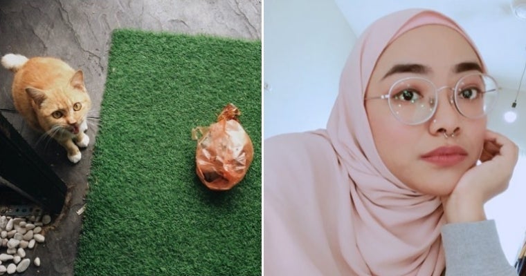 Smh M’sians Focuses On Owner'S Nose Ring Instead Of A Good Deed Done By Her Cat - World Of Buzz