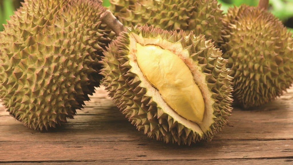 155 People Lost RM3.1mil In Musang King Investment Plan Scam - WORLD OF BUZZ 2