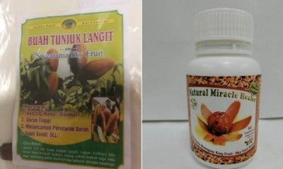 7 People Suffered Liver Damage After Consuming Mahogany Seeds Supplements From M'Sia &Amp; S'Pore - World Of Buzz