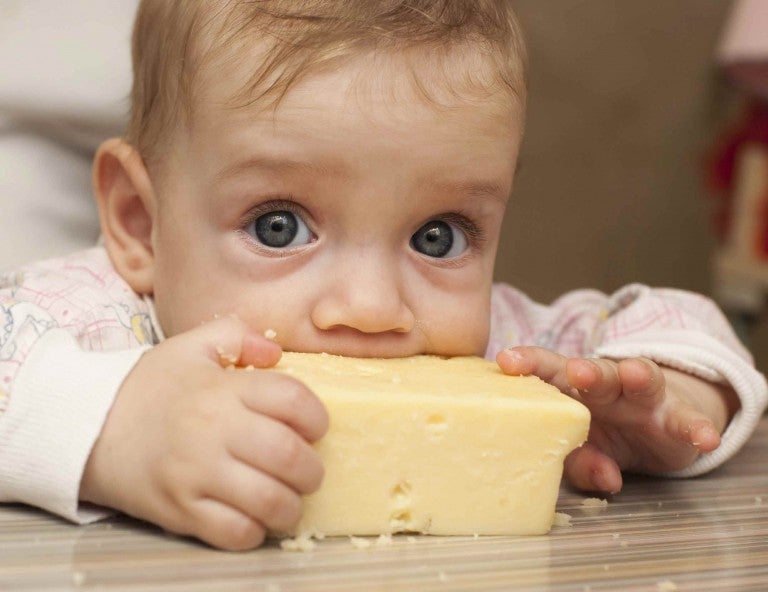 Attention Cheese Lovers Study Shows That Eating Cheese May Help You