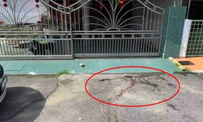 Dog Slips Out Of House And Gets Shot In Front Of Gate By Local Council Staff In Perak - World Of Buzz