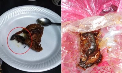 Man Shockingly Finds Dead Baby Rat In Soy Sauce Chicken He Bought From Warung - World Of Buzz