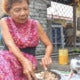 Loving Woman Tirelessly Feeds Strays Everyday In Seremban And Cleans Up After Them - World Of Buzz