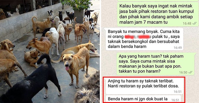 Restaurant Owner Refuses To Give Leftover Bones To Animal Ngo Because Dogs Are Haram World Of Buzz 2