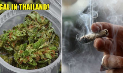 Thailand Has Just Become The First Southeast Asian Country To Legalist Medical Marijuana - World Of Buzz 2