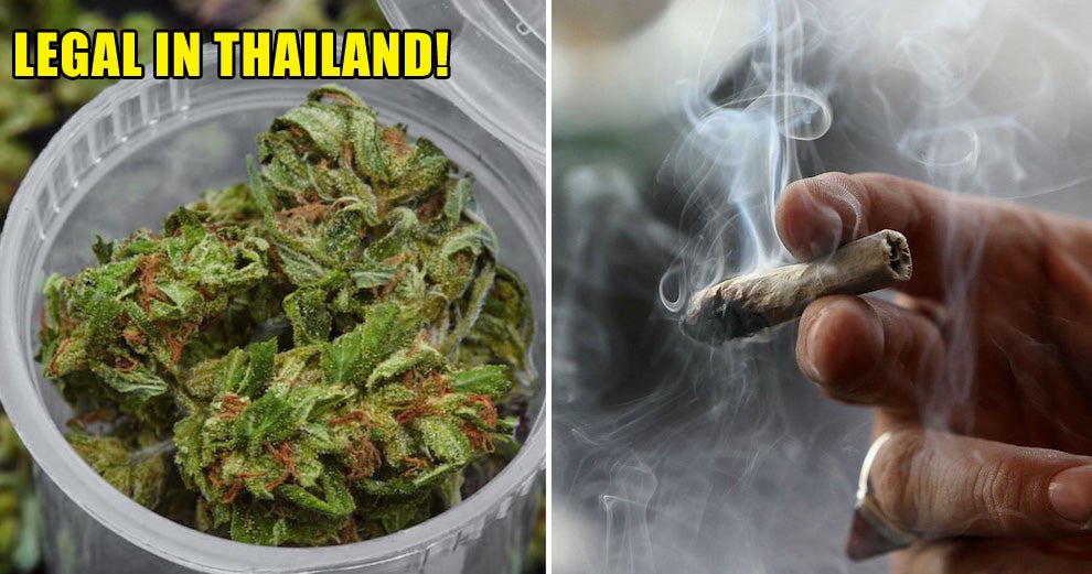 Thailand Has Just Become The First Southeast Asian Country to Legalist Medical Marijuana - WORLD OF BUZZ 2