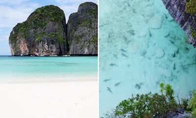 These Photos Show Maya Bay'S Stunning Transformation Since It Was Closed For Rehabilitation - World Of Buzz 5