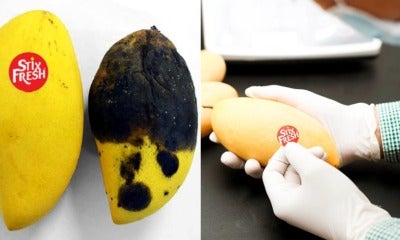 This Ingenious 'Magic Sticker' Stops Fruits From Ripening Too Fast, &Amp; It'S Invented By A M'Sian! - World Of Buzz