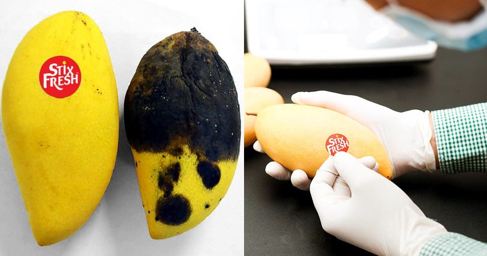 This Ingenious 'Magic Sticker' Stops Fruits From Ripening Too Fast, &Amp; It's Invented By A M'sian! - World Of Buzz