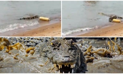 Tourists Unfazed By Crocs In Kuala Sungai Baru, Melaka - World Of Buzz