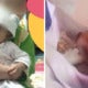 7-Month Old Baby Boy Perished Under Babysitter'S Care, Suffered From Severe Head-Related Injuries - World Of Buzz 1