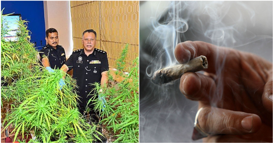 A Carton Of Cigarettes Is Much More Harmful Than 200G Of Marijuana, Forum Calls For Change In Malaysian Laws - World Of Buzz 3