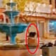 Couple Spotted &Quot;Topless&Quot; In A Fountain At Kk'S Gaya Street Goes Viral - World Of Buzz 1