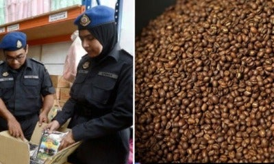Famous Coffee Factory In Penang Shutdown After Rat Droppings Discovered During Raid - World Of Buzz
