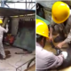 Foreign Workers In Kuantan Factory Allegedly Torturing And Slaughtering A Dog - World Of Buzz 4