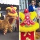 Malay Couple Get Lion Dance &Amp; Firecrackers To Celebrate Their Wedding - World Of Buzz 4