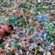Malaysia Rated One Of The World’s Worst For Plastic Pollution - World Of Buzz 3
