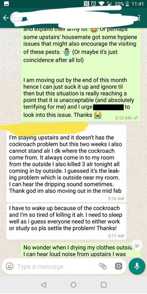 M'sian Girl Shares Traumatising Experience of Living with Cockroaches Due to Housemate From Hell - WORLD OF BUZZ 4