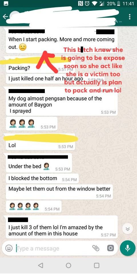 M'sian Girl Shares Traumatising Experience of Living with Cockroaches Due to Housemate From Hell - WORLD OF BUZZ 5