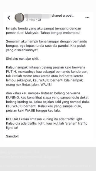 Netizen Shares Reasoning Behind Multi-Coloured Zebra Crossing And How Malaysian Drivers Should Be More Mindful Of Pedestrians - World Of Buzz 2