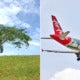 Once Featured On Airasia Plane, This 40-Year-Old Iconic Tree In Upm Has Fallen - World Of Buzz 1