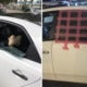 S'Poreans In Jb Leave Valuables In Car, Car Gets Looted In Broad Daylight 5 Minutes Later - World Of Buzz 5