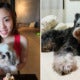 [Test] Man’s Best Friend: 5 Emotional Stories Of Pets Saving Lives As Told By M’sians - World Of Buzz 5