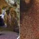 This Cave In Sabah Might Have The Most Cockroaches In The World! - World Of Buzz
