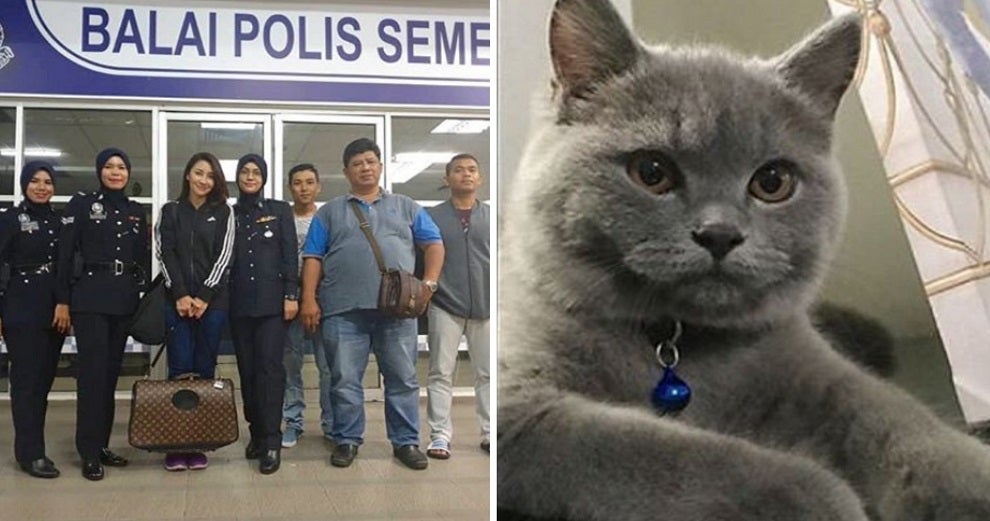 This M'Sian Actress Filed A Police Report Over Her Missing Pedigree Cat - World Of Buzz