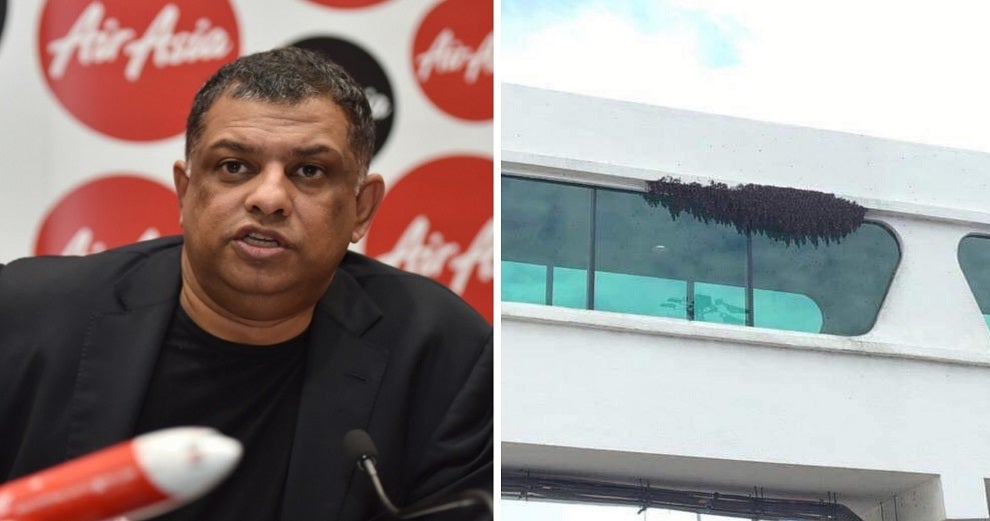 Tony Fernandes Shares Photo Of Bees In Klia2 - World Of Buzz