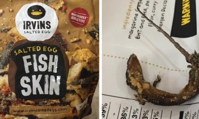 Woman Grossed Out After Finding Deep-Fried Lizard In Irvins Salted Egg Fish Skin Snack - World Of Buzz 4