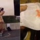 16Yo Female Street Performer Gets Assaulted While Trying To Raise Money For Her Family - World Of Buzz 4
