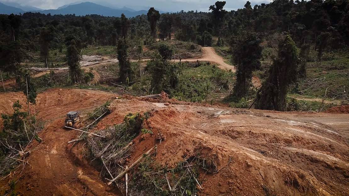 An Oil Palm Plantation is Allegedly Encroaching into Sarawak's Only UNESCO World Heritage Site, Here's How You Can Help - WORLD OF BUZZ 7