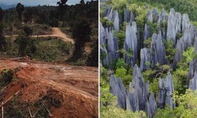 An Oil Palm Plantation Is Reportedly Encroaching Into Sarawak'S Only Unesco World Heritage Site - World Of Buzz
