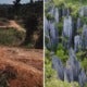 An Oil Palm Plantation Is Reportedly Encroaching Into Sarawak'S Only Unesco World Heritage Site - World Of Buzz