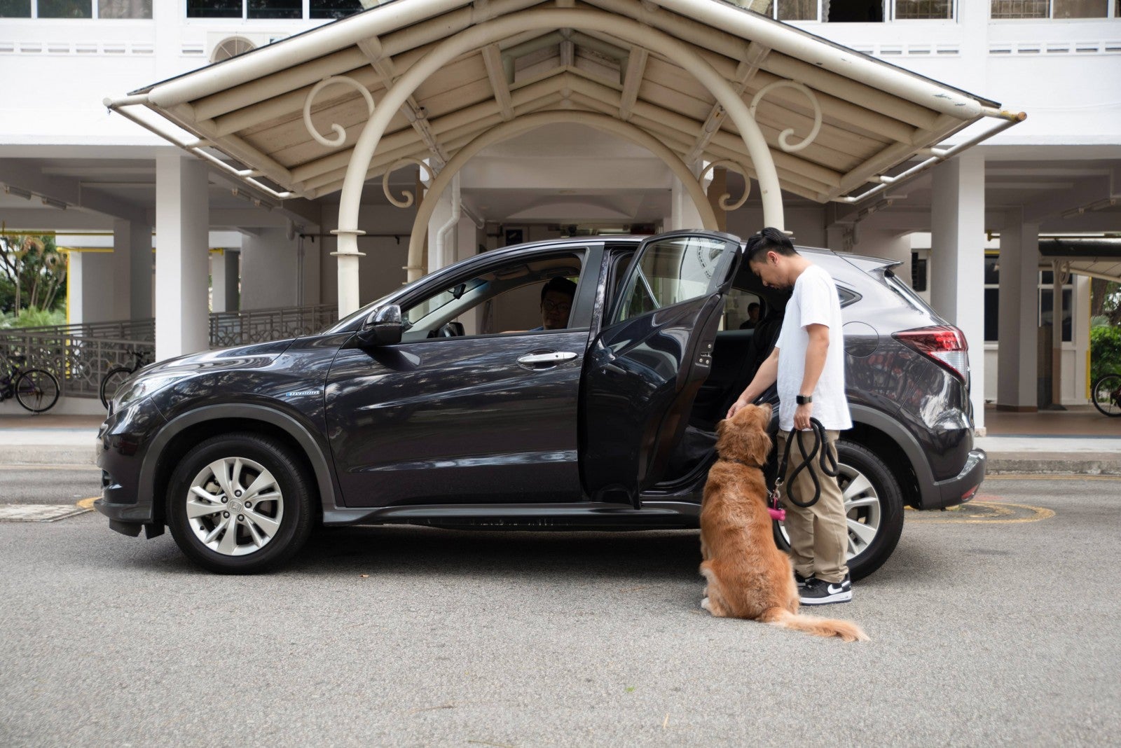 Grab Singapore Now Debuts GrabPet So You Can Travel With Your Four-legged Buddies! - WORLD OF BUZZ 2