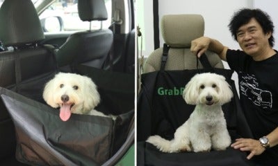 Grab Singapore Now Debuts Grabpet So You Can Travel With Your Four-Legged Buddies! - World Of Buzz 6