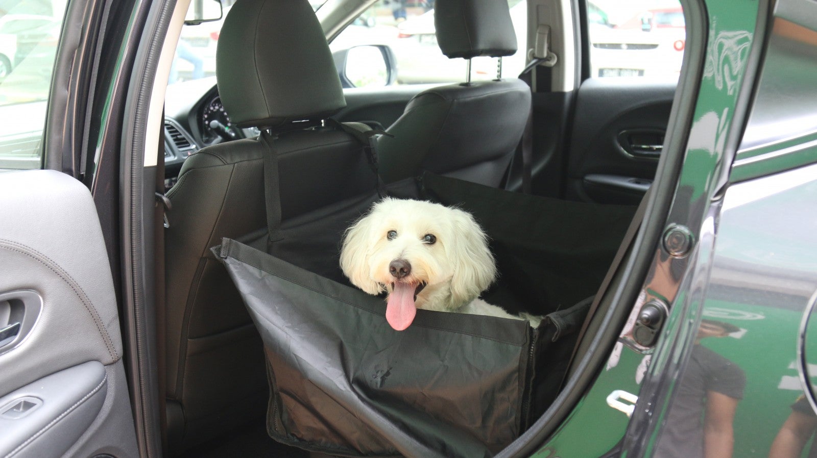 Grab Singapore Now Debuts GrabPet So You Can Travel With Your Four-legged Buddies! - WORLD OF BUZZ 7