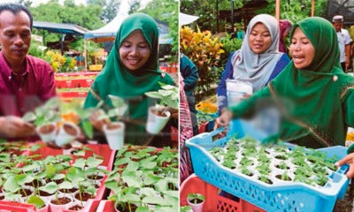 Inspiring M'Sian Couple Sells Plant Saplings At Rm1, Earns Up To Rm4,000 Per Week - World Of Buzz