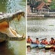Irresponsible Person Dumps Crocodile Into Shah Alam Lake, Public Warning Issued - World Of Buzz