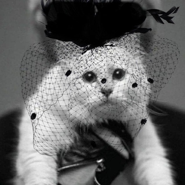 Karl Lagerfeld's Cat Richer Than All of Us As She Inherits Part Of RM1.55 Bil After Owner's Death - WORLD OF BUZZ 3