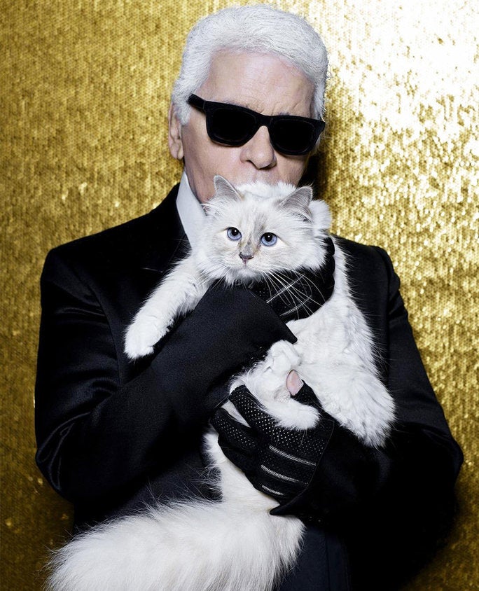 Karl Lagerfeld's Cat To Inherit Large Chunk Of Her Owner's RM1.55 Billion Fortune - WORLD OF BUZZ