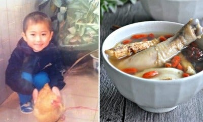 Man Shares Story About How Childhood Pet Chicken &Quot;Disappeared&Quot;, Netizens Relate - World Of Buzz