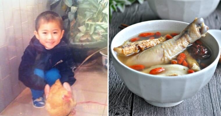 Man Shares Story About How Childhood Pet Chicken &Quot;Disappeared&Quot;, Netizens Relate - World Of Buzz
